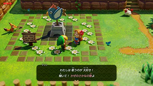 The Legend of Zelda Link's Awakening Nintendo Switch Nintendo