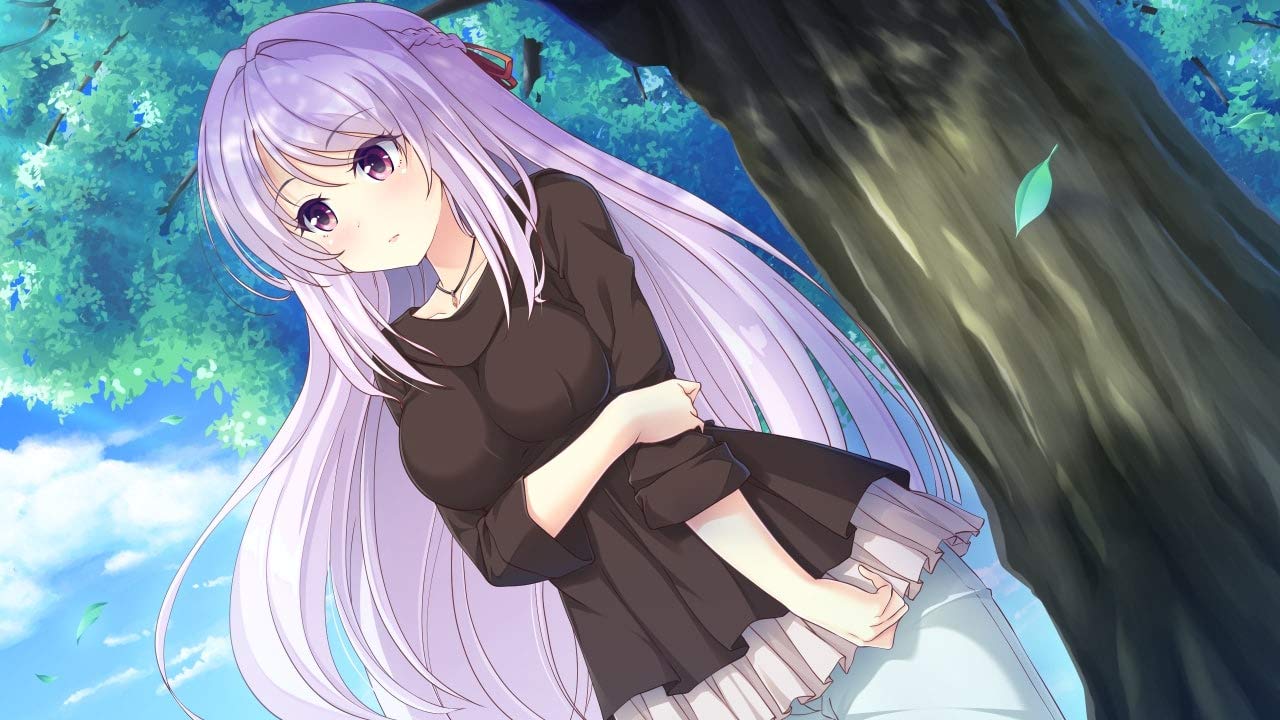 Sugar*Style Nintendo Switch Entergram Sealed Bishoujo New