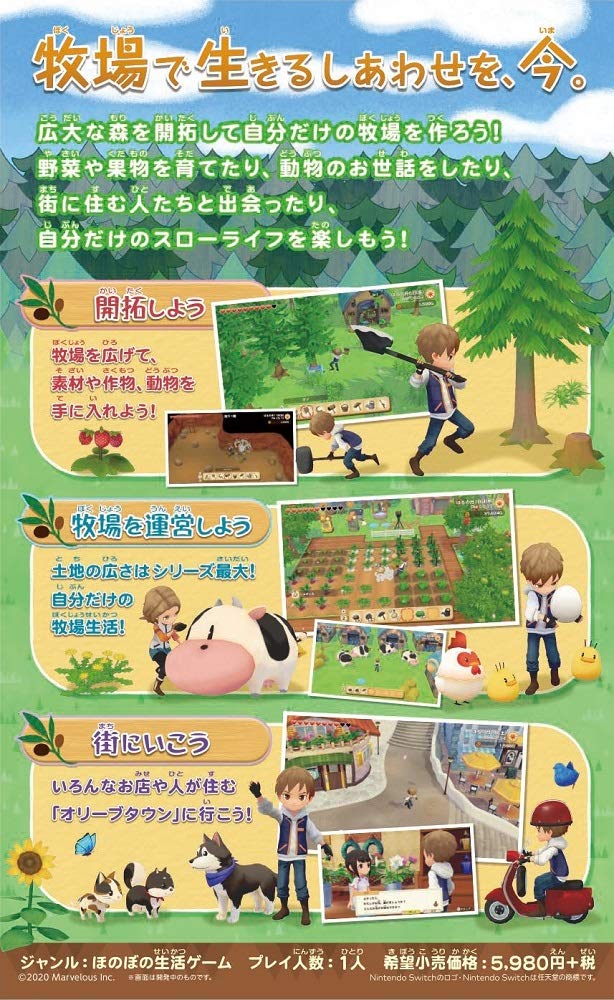 Story of Seasons: Olive Town and the Land of Hope - Switch