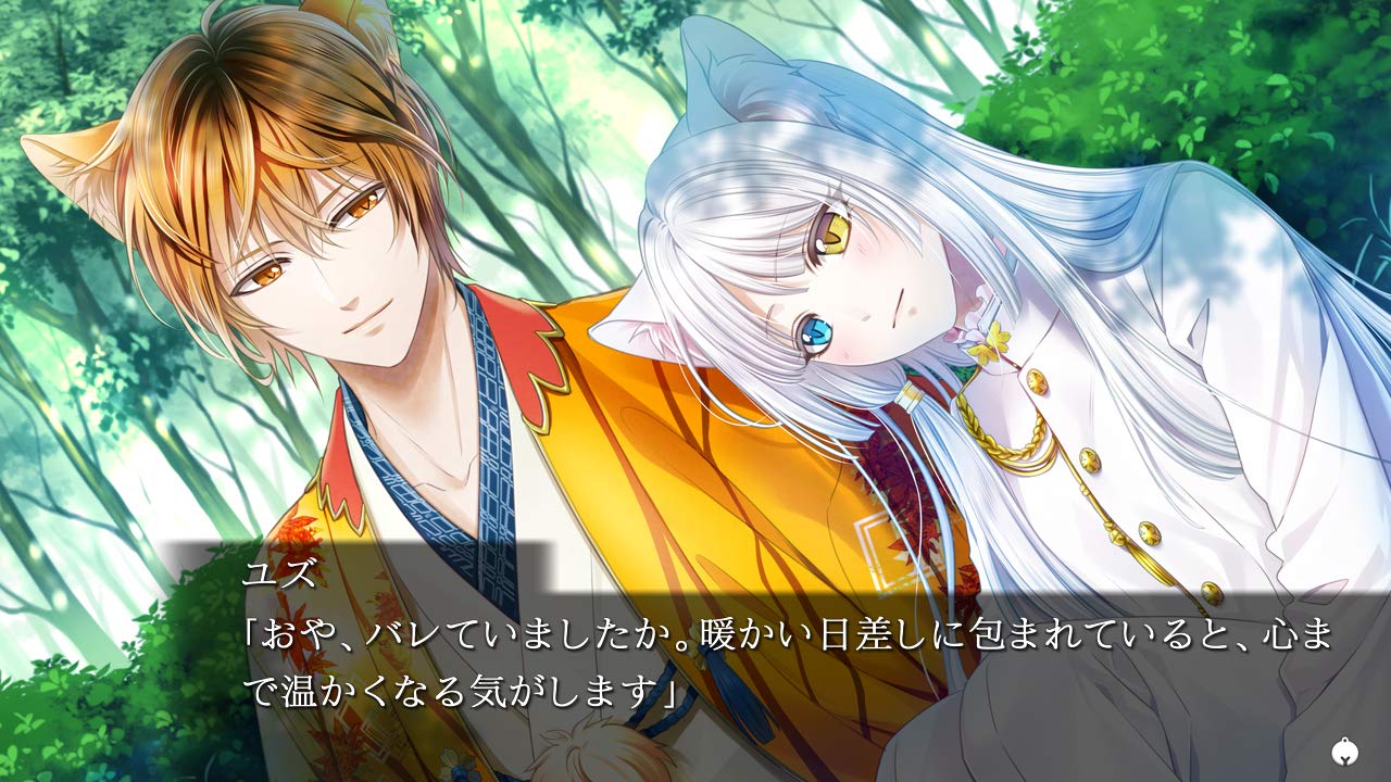 Gunka o Haita Neko Nintendo Switch Prototype Sealed New