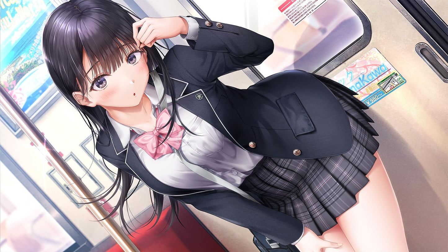 PS4 Seifuku Kanojo Sony PlayStation 4 Entergram New Bishoujo JP