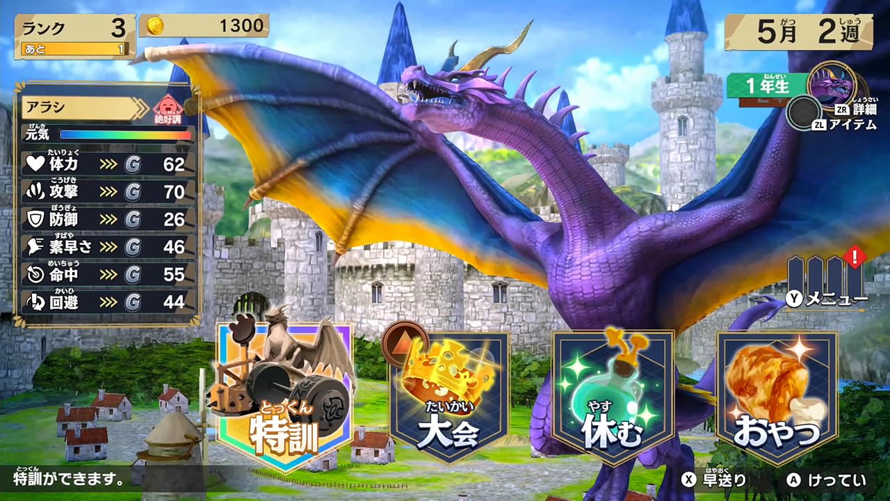 Dragon Strongest King Picture Book Battle Coliseum -Switch