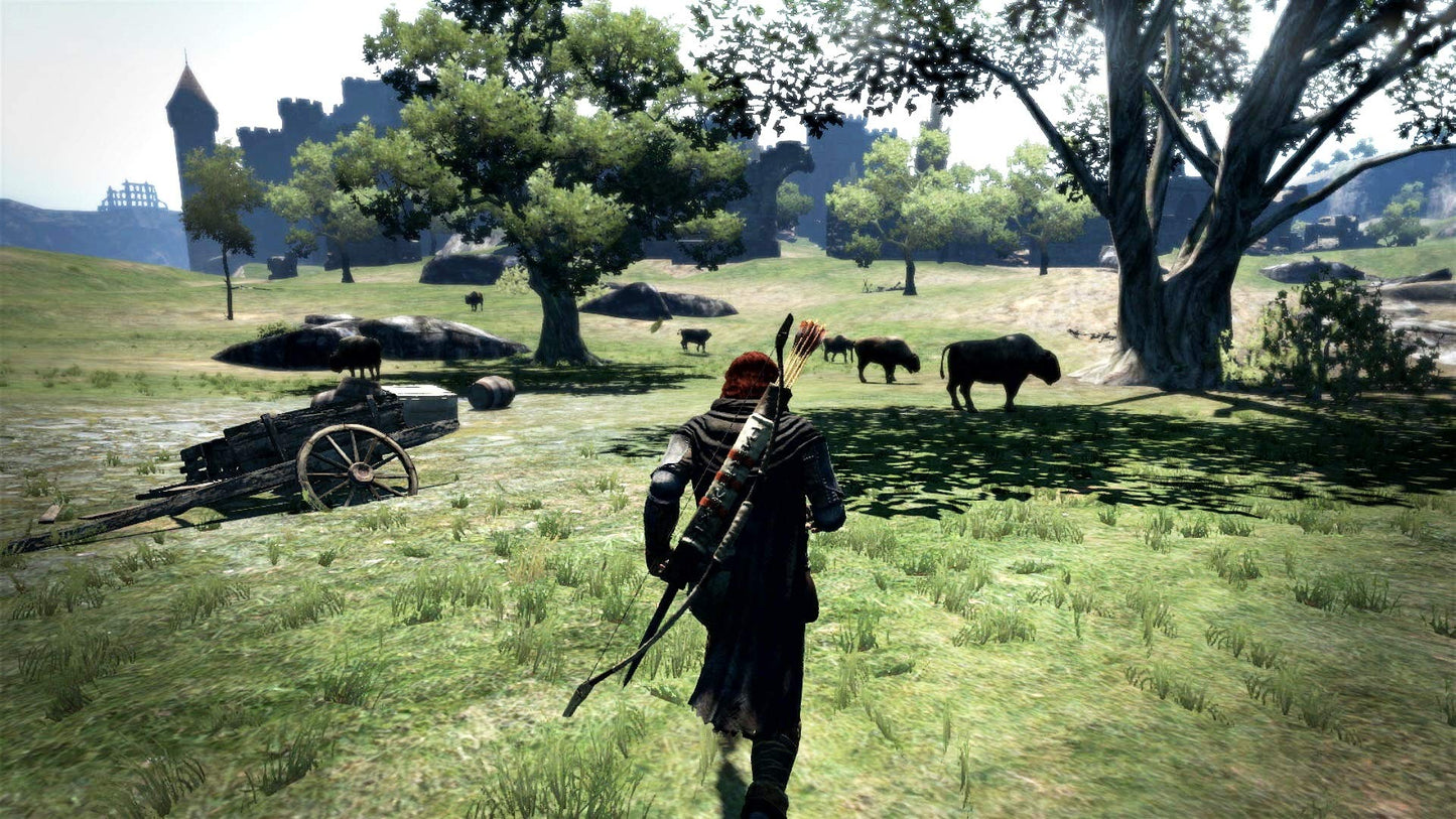 Dragons Dogma: Dark Arisen - Switch