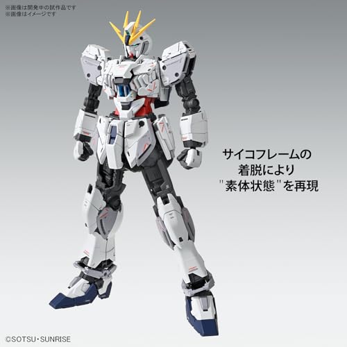 H996 MG Gundam NT Narrative Gundam C Equipped Ver.Ka 1/100 scale