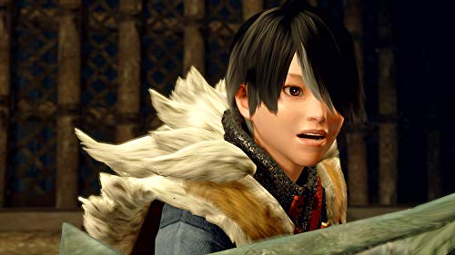 Monster Hunter Rise - Switch