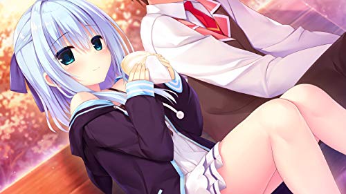 Hamidashi Creative Nintendo Switch iMel Sealed Visual Novel New