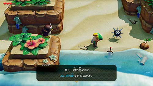 The Legend of Zelda Link's Awakening Nintendo Switch Nintendo