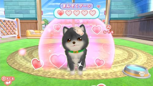 Play with Dogs! Aim to be a Dog Trainer! – Switch