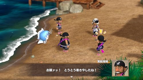 Mystery Dungeon: Shiren the Wanderer 6 - Toguro Island Exploration Record