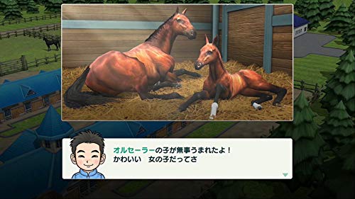 Derby Stallion - Switch