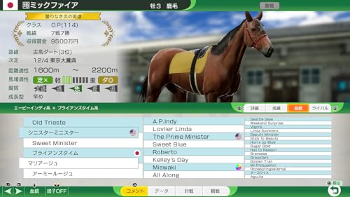 Winning Post 10 2024 Premium Box - Switch