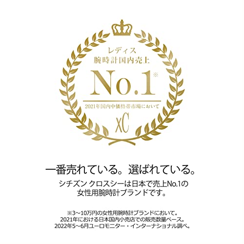 Citizen Cross Sea Eco-Drive Radio Watch Waterproof Limited Pair Brown CB1020-62H Men's Silver