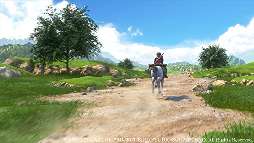Dragon Quest XI: Echoes of an Elusive Age S - Switch
