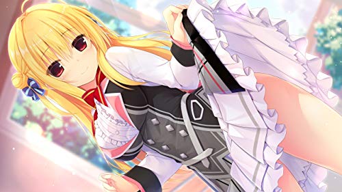 Hamidashi Creative Nintendo Switch iMel Sealed Visual Novel New