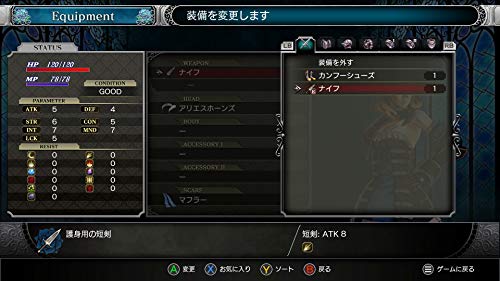 Bloodstained Ritual of the Night Nintendo Switch Game Source