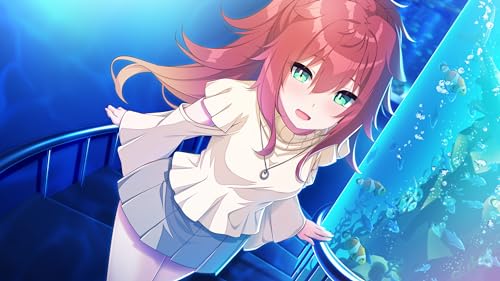 HOOKSOFT 5-Title Set - Switch