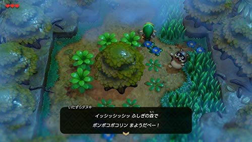 The Legend of Zelda Link's Awakening Nintendo Switch Nintendo