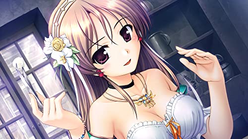 Aiyoku no Eustia - Switch