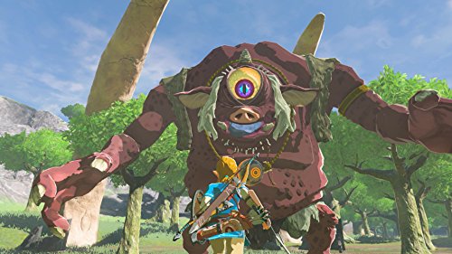 The Legend of Zelda Breath of the Wild Nintendo Switch Nintendo