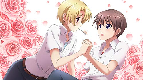 PS4 Higurashi no Naku Koro ni Hou Sony PlayStation 4 Entergram New