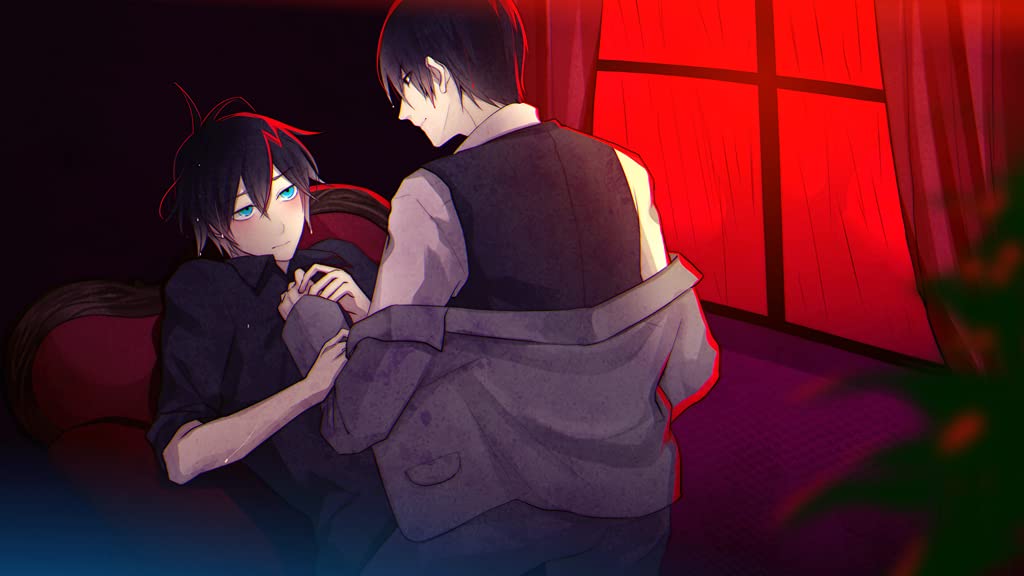 Hashihime of the Old Book Town Nintendo Switch hunex Sealed Visual