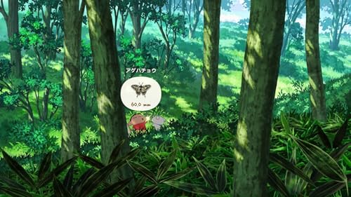 Crayon Shin-chan: The Town of Coal's Shiro Collector's Edition - Switch