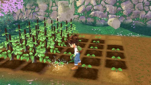 Story of Seasons A Wonderful Life Nintendo Switch Marvelous Sealed