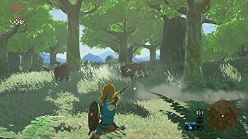 The Legend of Zelda Breath of the Wild Nintendo Switch Nintendo