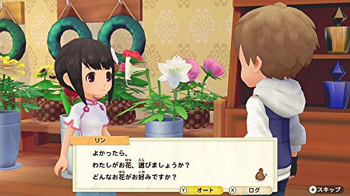 Story of Seasons: Olive Town and the Land of Hope - Switch