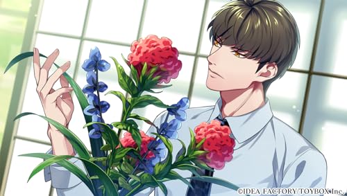 7'scarlet for Nintendo Switch Special Edition