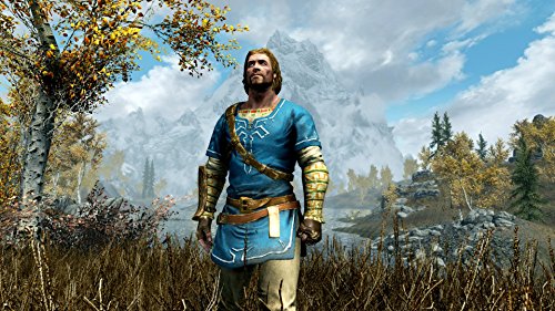 The Elder Scrolls V Skyrim Nintendo Switch Bethesda Softworks