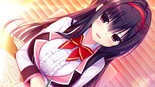 Hamidashi Creative Nintendo Switch iMel Sealed Visual Novel New