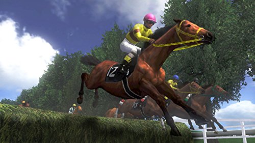 Champion Jockey Special - Switch