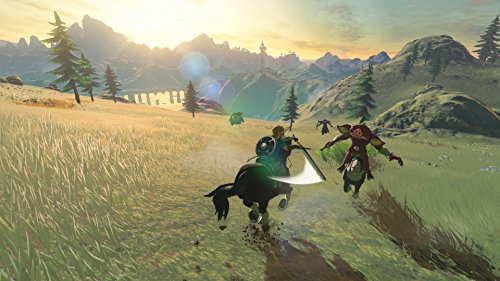 The Legend of Zelda Breath of the Wild Nintendo Switch Nintendo