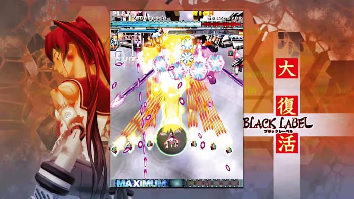 DoDonPachi Resurrection Nintendo Switch SUPERDELUXE GAMES Sealed New