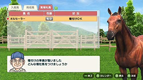 Derby Stallion - Switch