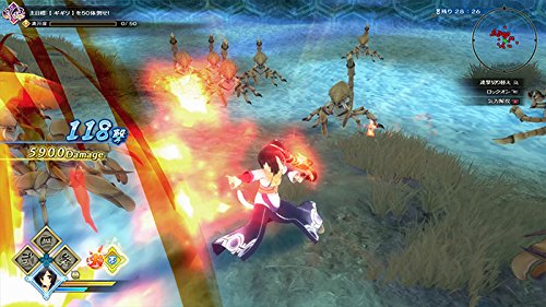 PS4 Utawarerumono Zan Sony PlayStation 4 AQUAPLUS New Action JP