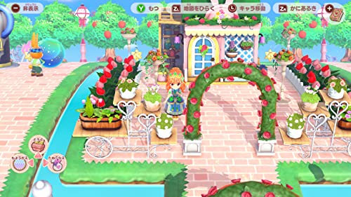 Pretty Princess Magical Garden Island Nintendo Switch Nippon