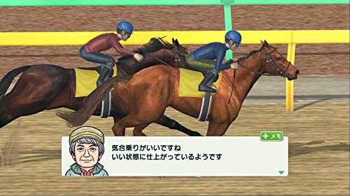 Derby Stallion - Switch