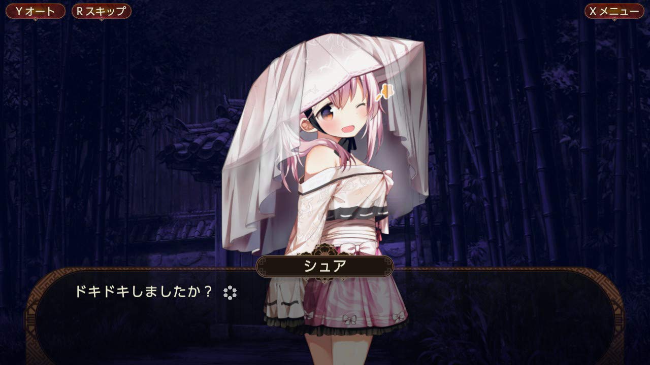 The Fox Awaits Me Nintendo Switch Cosen Sealed Bishoujo New