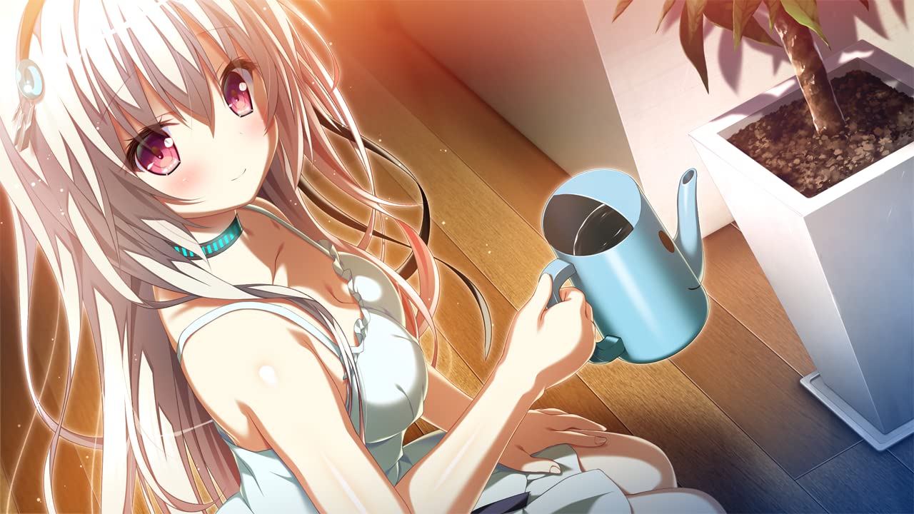 Torino Line - Switch