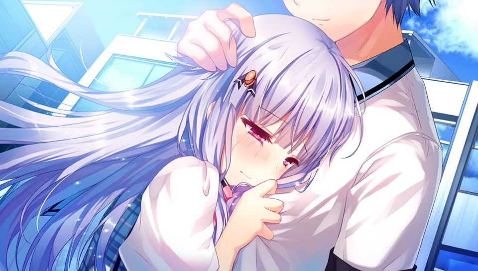 Shirogane x Spirits! - Switch