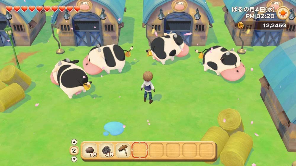 Story of Seasons: Olive Town and the Land of Hope - Switch