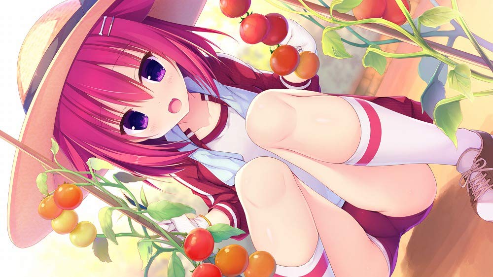 Raspberry Cube Nintendo Switch iMel Sealed Bishoujo New