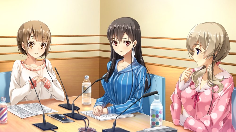 PS4 How to make a pop voice actress Limited Edition Sony PlayStation 4