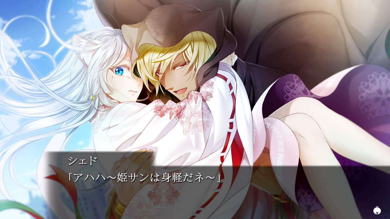 Gunka o Haita Neko Nintendo Switch Prototype Sealed New