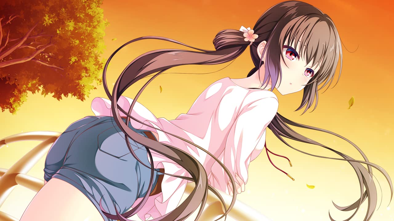 Houkago Cinderella Nintendo Switch Entergram Sealed Bishoujo New