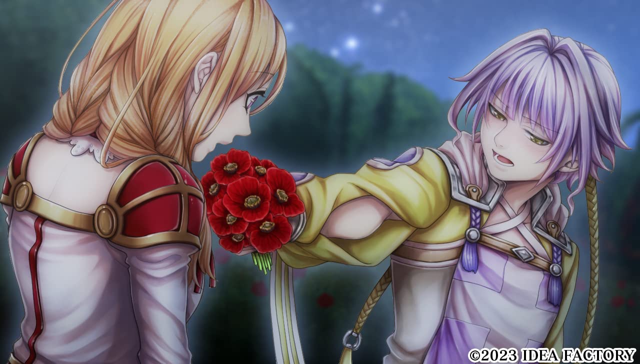 Princess Arthur for Nintendo Switch