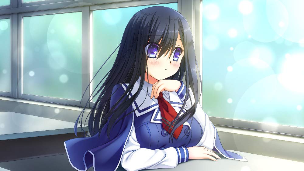 Kaleidoscope of Phantasm Prison Nintendo Switch Entergram Sealed