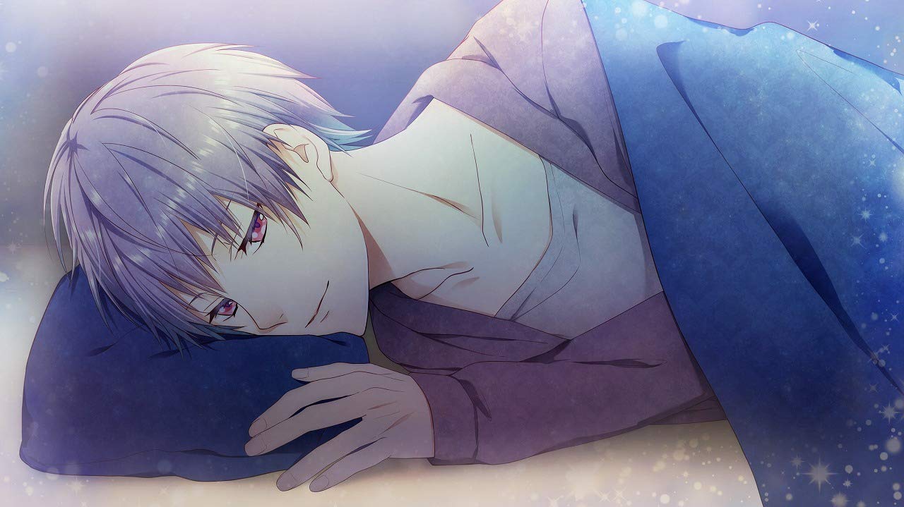 Himehibi Another Princess Days ~White or Black~ Nintendo Switch